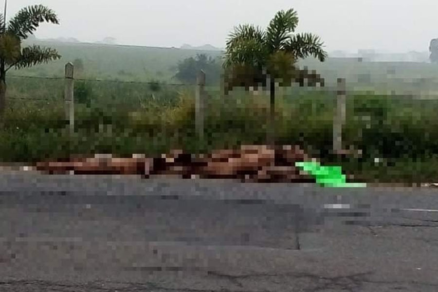 Abandonan ocho cuerpos en autopista en Veracruz