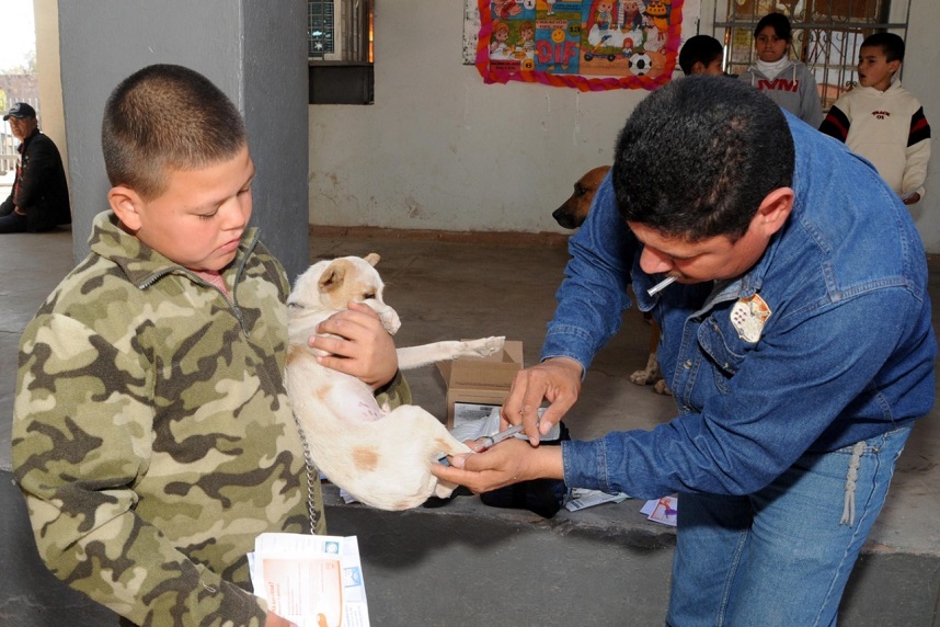 Llama Centro de Atención Canina y Felina a proteger mascotas con vacuna antirrábica