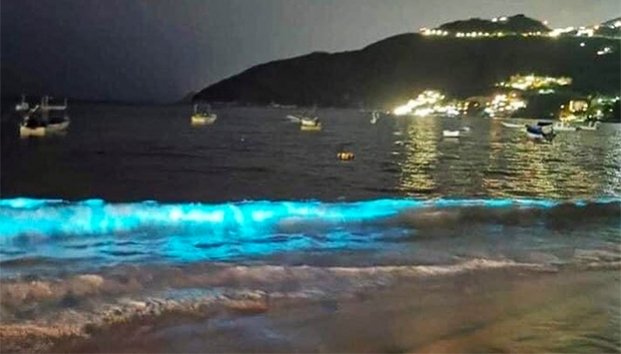 /var/www/html/wp-content/uploads/2020/04/playa.jpg