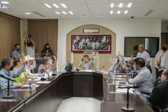 52083150224_d731d28422_c