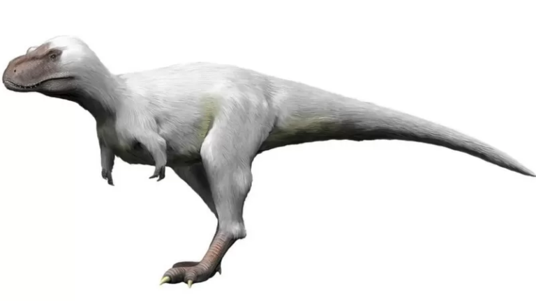 Cómo eran los dinosaurios polares y por qué desafían lo que pensábamos sobre estos gigantescos animales prehistóricos