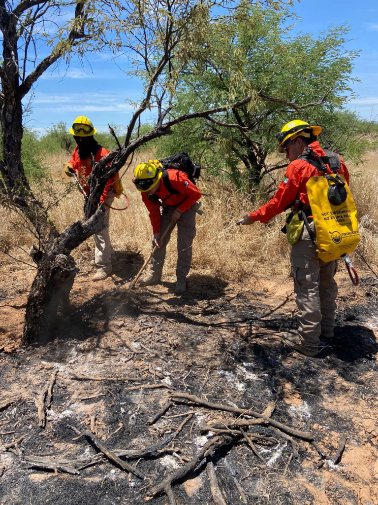 Atiende Protección Civil seis incendios forestales activos en Sonora