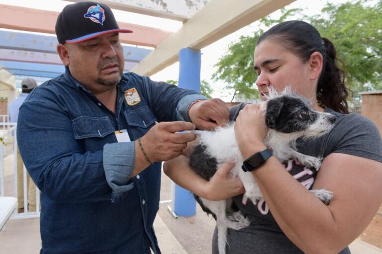 Realizarán jornada de salud, descacharre y esterilización de mascotas en Bahía de Kino
