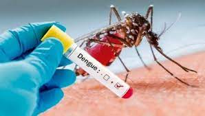 Invierten en Sonora más de 30 mdp para combatir el dengue