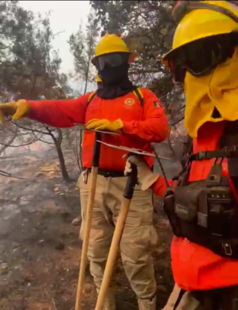 Atienden Protección Civil y diversas autoridades incendio forestal en Ímuris