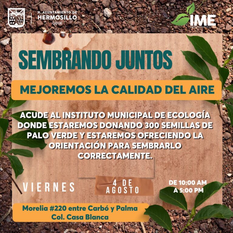 Obsequiara IME semillas a quienes deseen sembrar un árbol de Palo Verde en Hermosillo